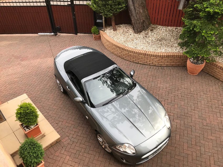 JAGUAR XK